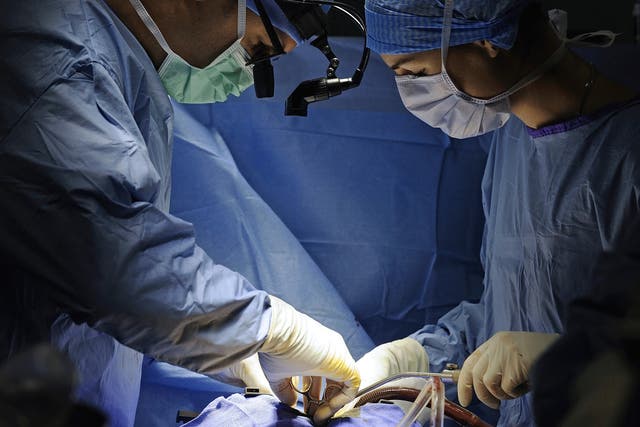 Surgeons used abdominal skin to fashion a new penis for the deceased donor