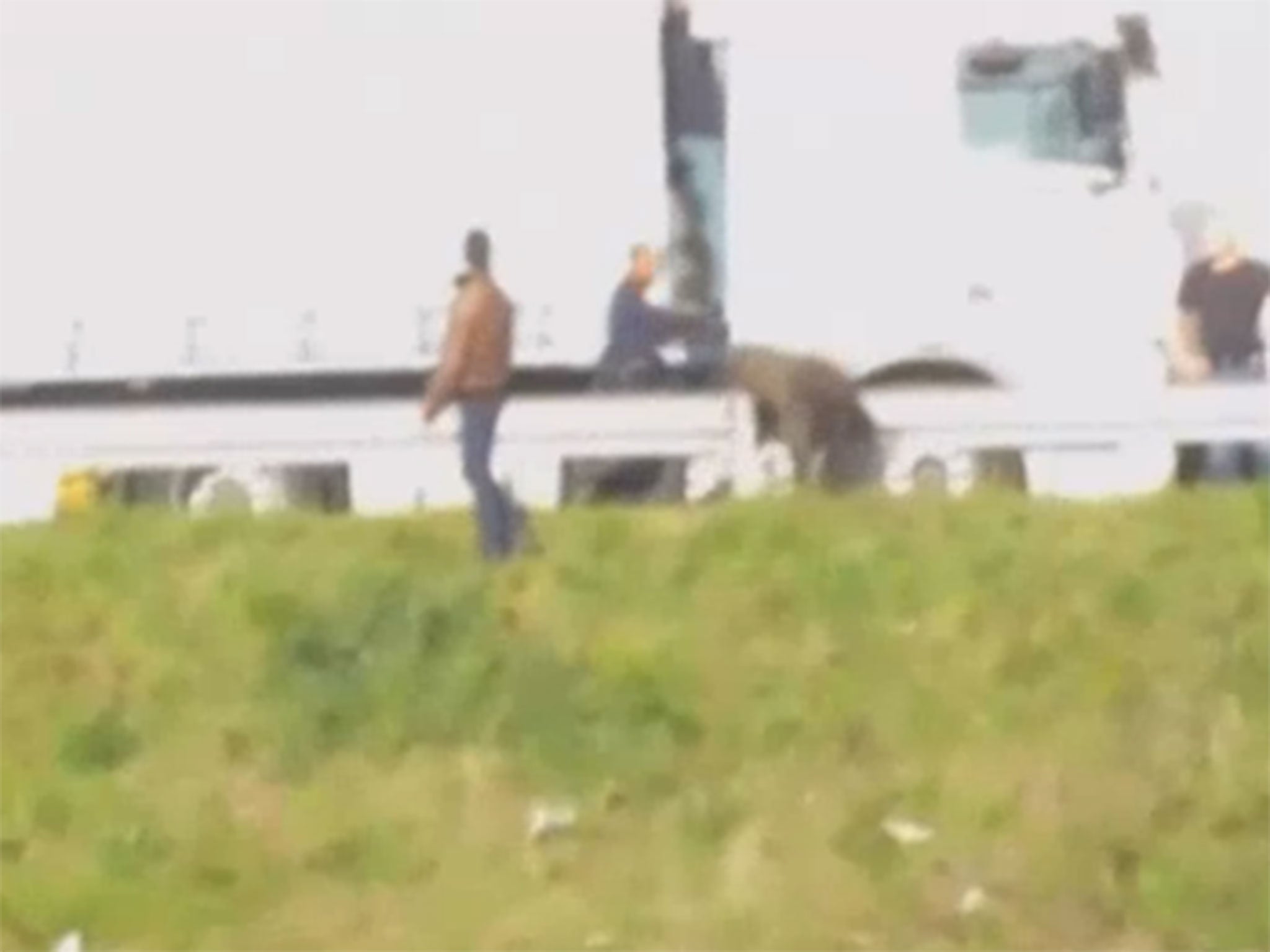 Police appearing to attack migrants in Calais