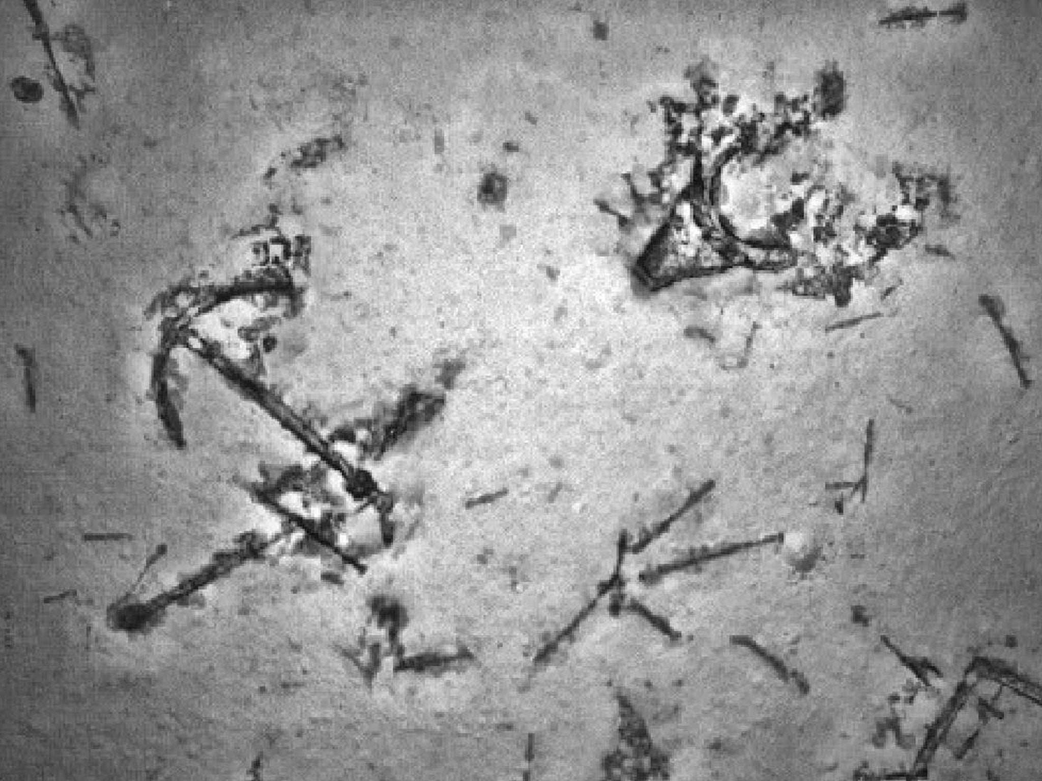 A previously uncharted shipwreck discovered in the southern Indian Ocean during the search for flight MH370