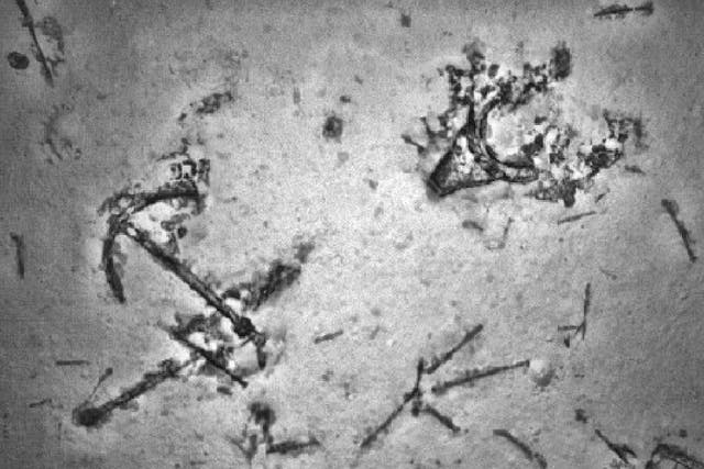 A previously uncharted shipwreck discovered in the southern Indian Ocean during the search for flight MH370