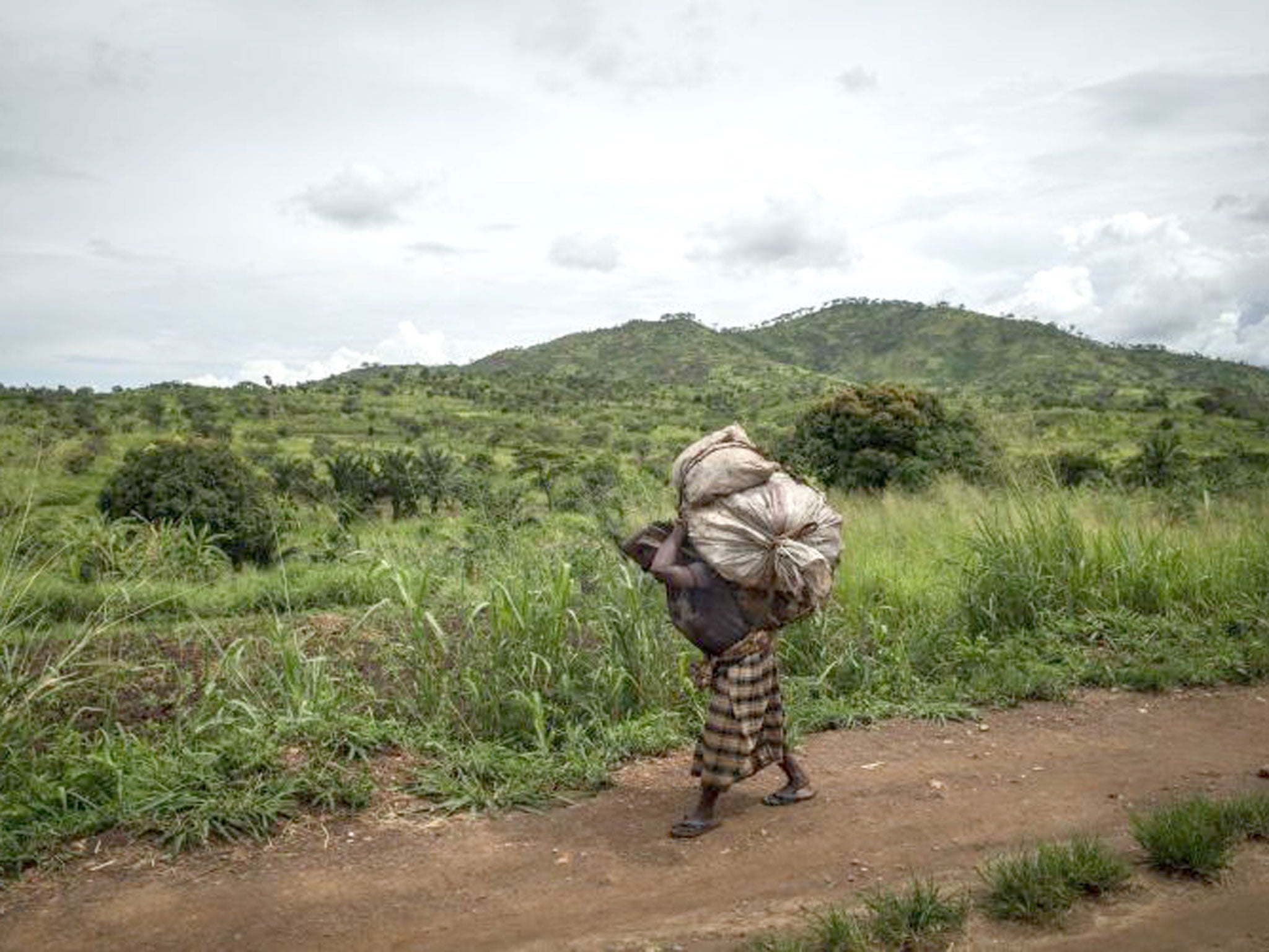 Returning to the scene of his youth: the Republic of Congo