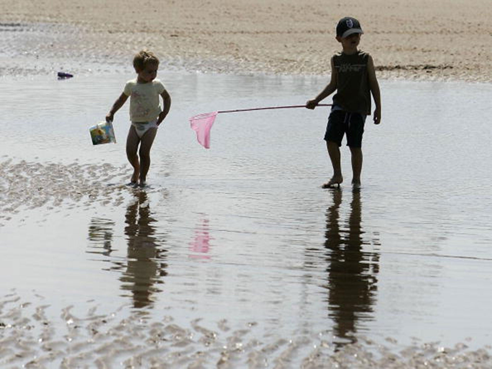 Children play in rock pools on Brighton beach