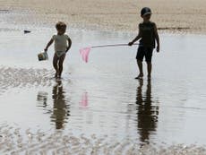 Read more

25 English beaches set to fail EU water quality tests
