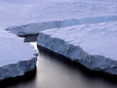 Ice shelf on brink of collapse to compound risk from rising in sea levels