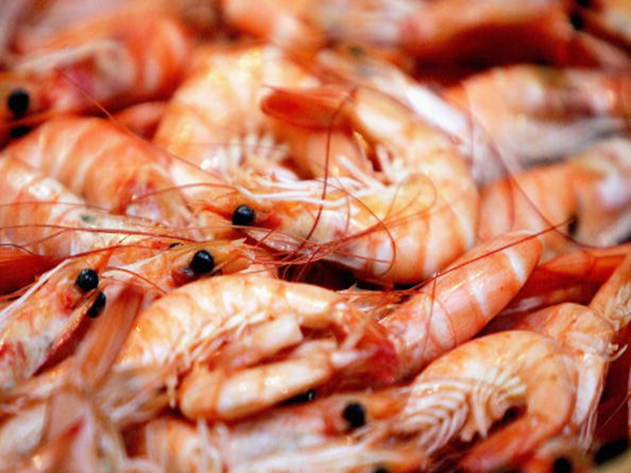 Shell-shocked: snaps of fresh seafood caused a social media kerfuffle