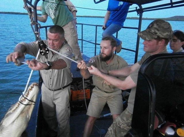 Prince Harry in Australia's Northern Territory helping with the capture of a 3.1 metre crocodile in Darwin Harbour.