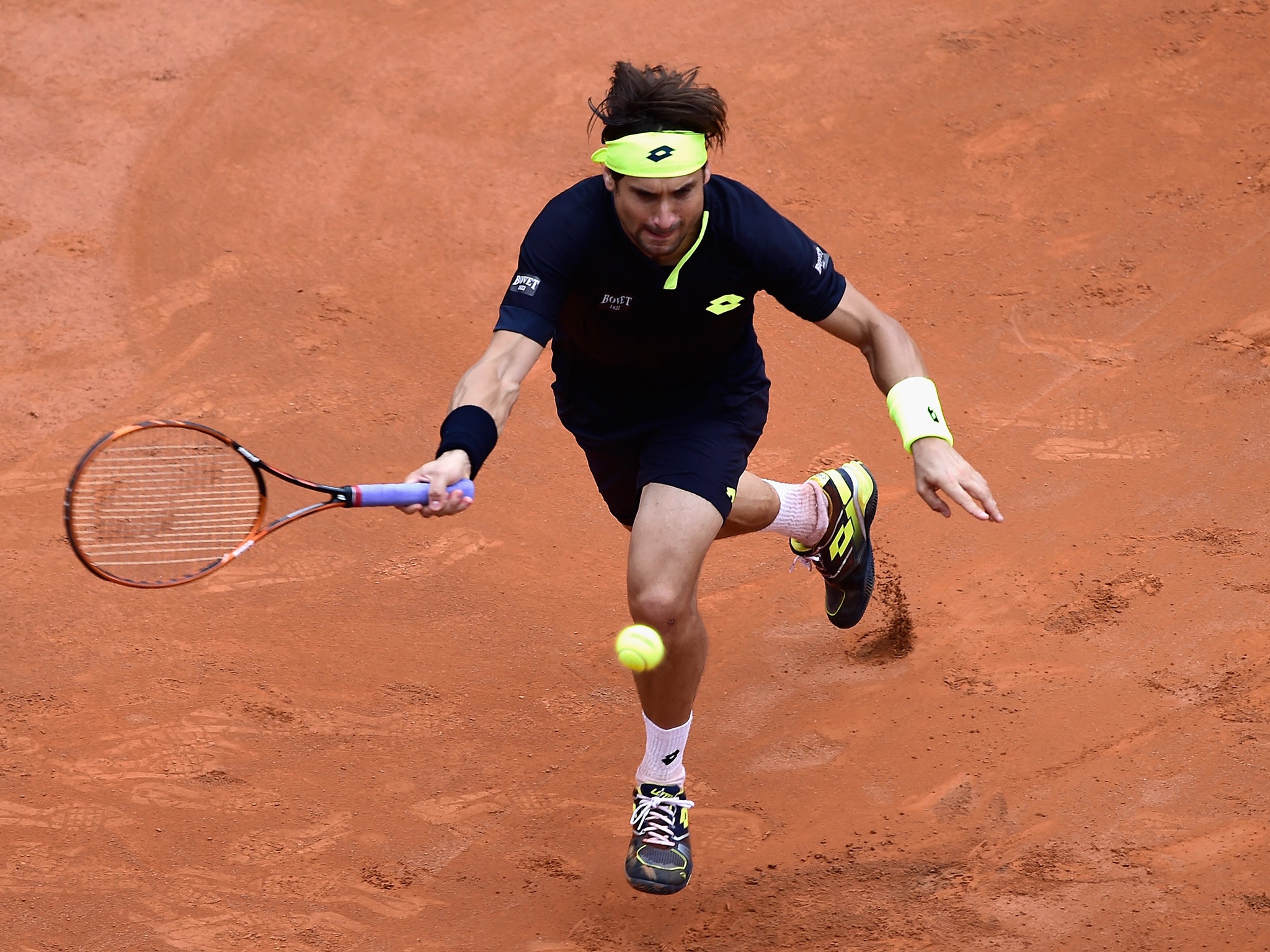 David Ferrer