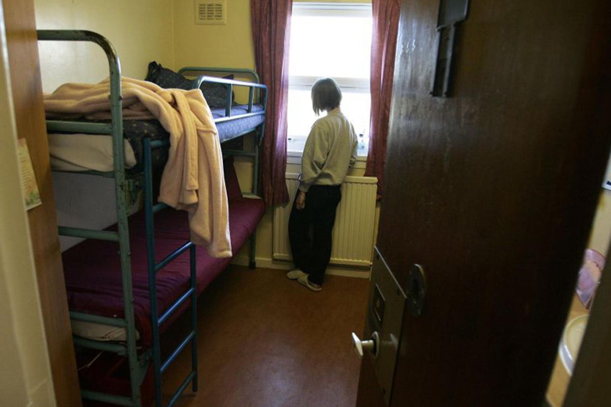 Ministers urged to end jailing of pregnant women under amendment to policing bill
