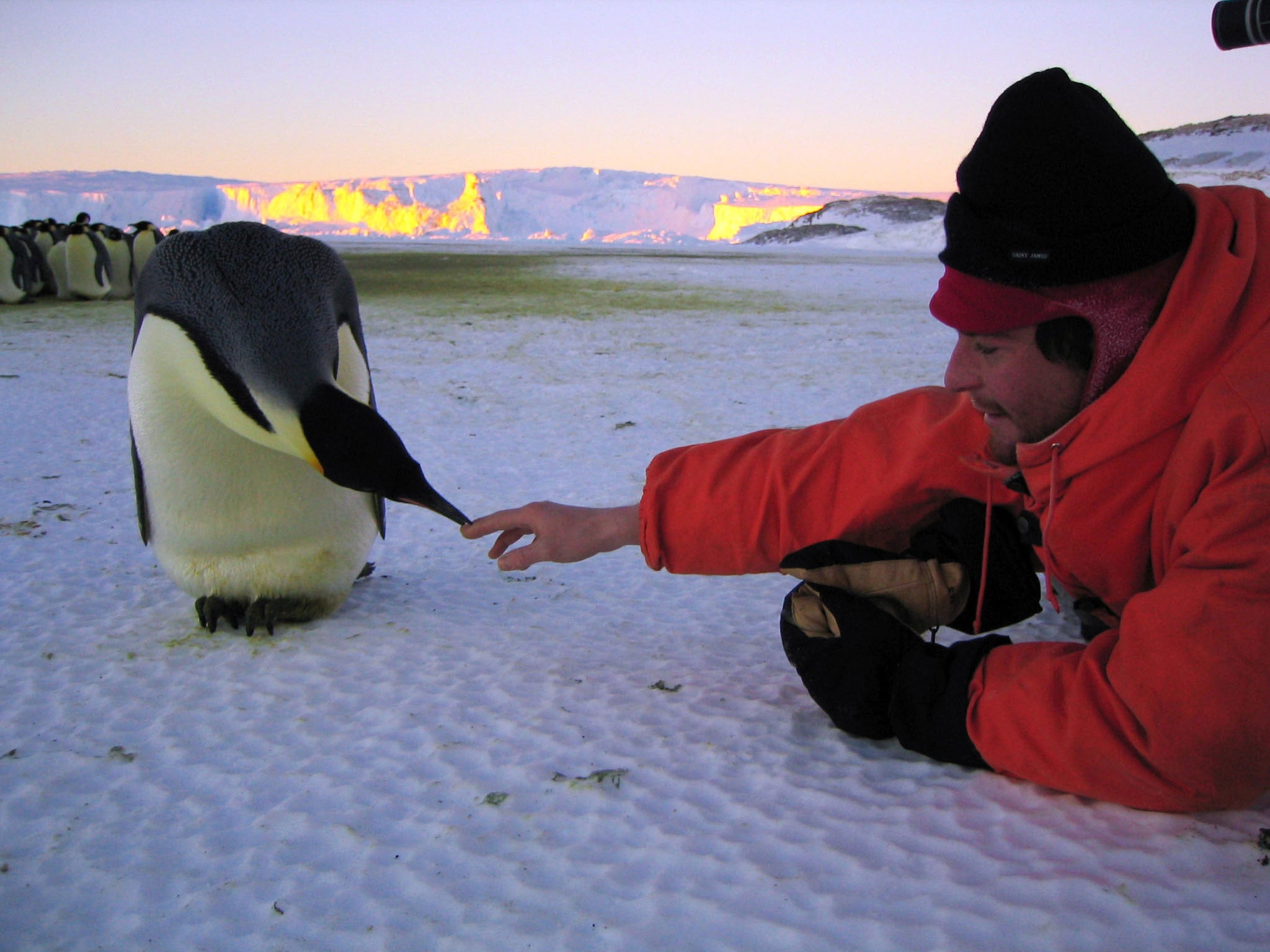 Director Luc Jacquet wants to raise awareness of the plight of animals in a warming Antarctica