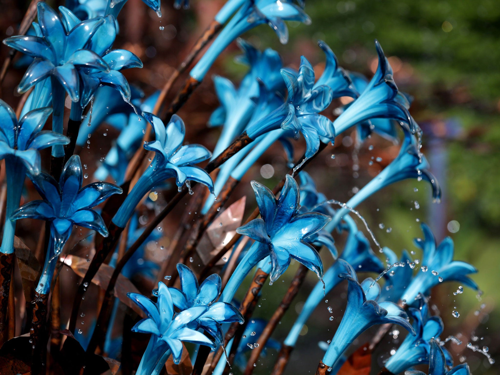 The RHS has called on the public to turn away from gravel, paving and concrete and brighten up the front of their houses with plants, shrubbery and grass