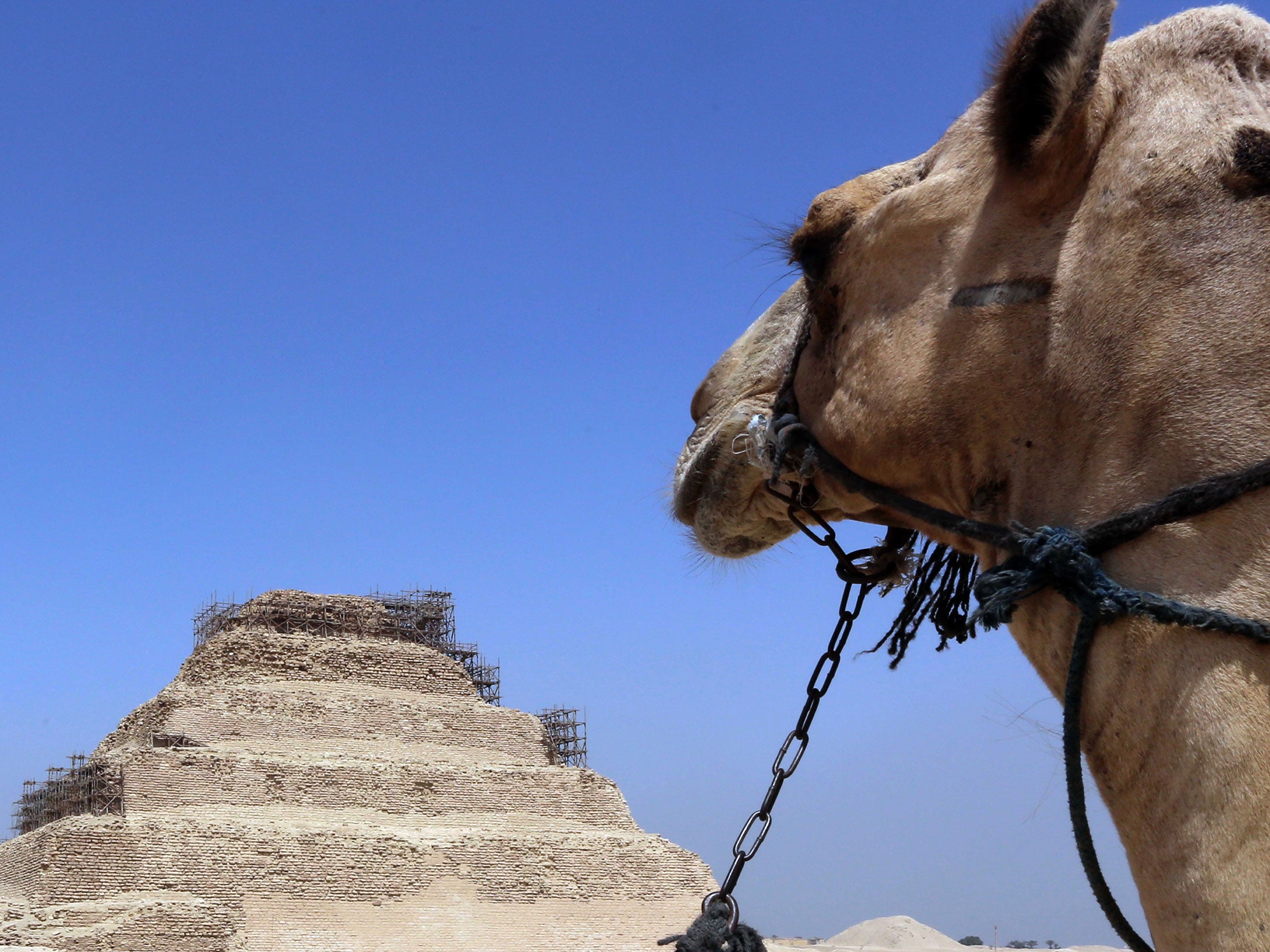 Should they take over Egypt, ISIS militants 'would demand the dynamiting of the Pyramids'