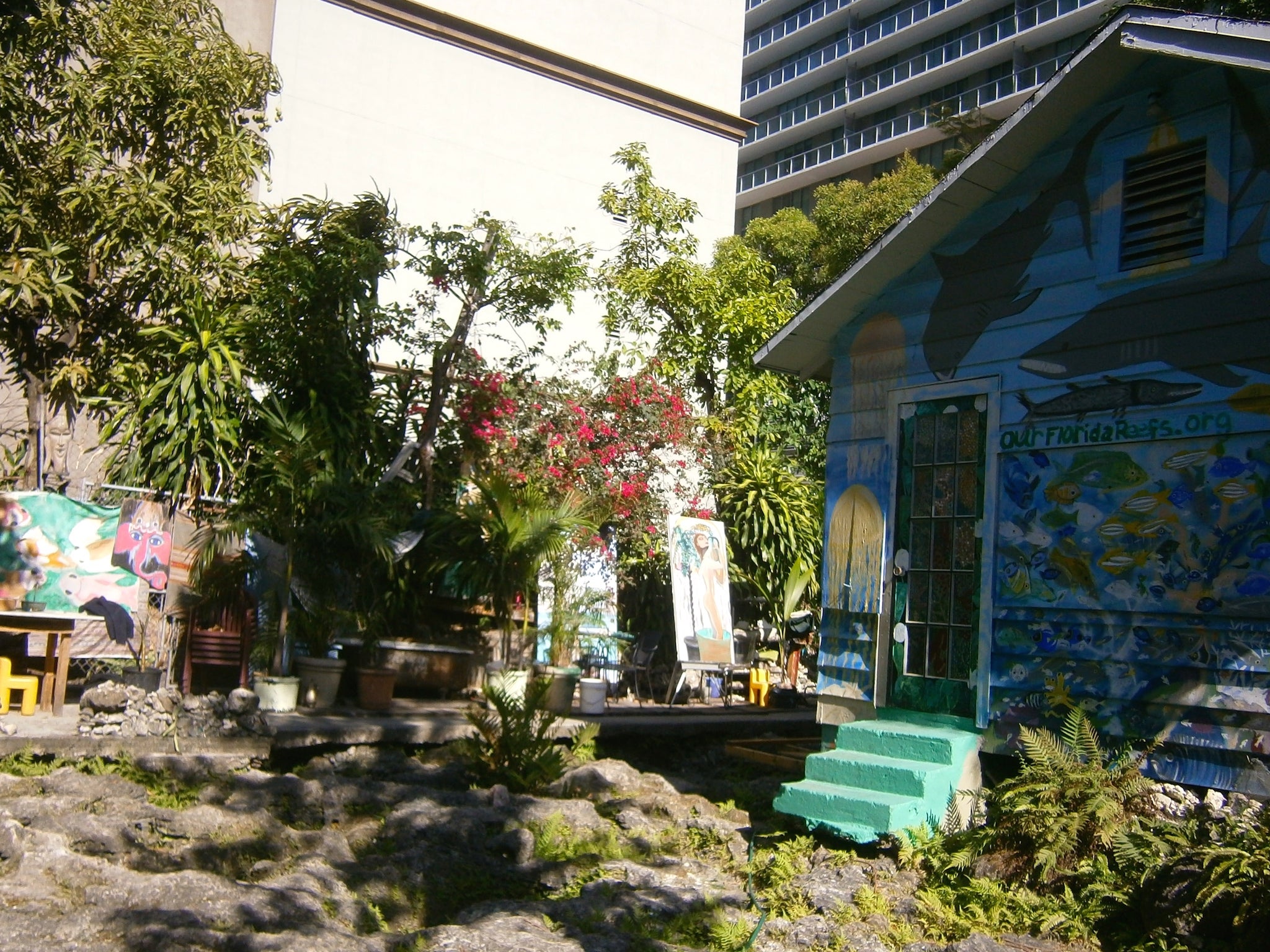 The couple's home is surrounded by residential towerblocks