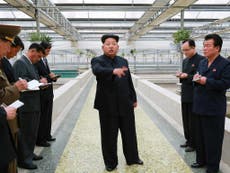 Kim Jong-un ‘executes manager of terrapin farm for failing to supply