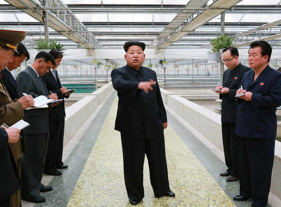 Kim Jong Un was reportedly unhappy with the terrapin factory's efforts