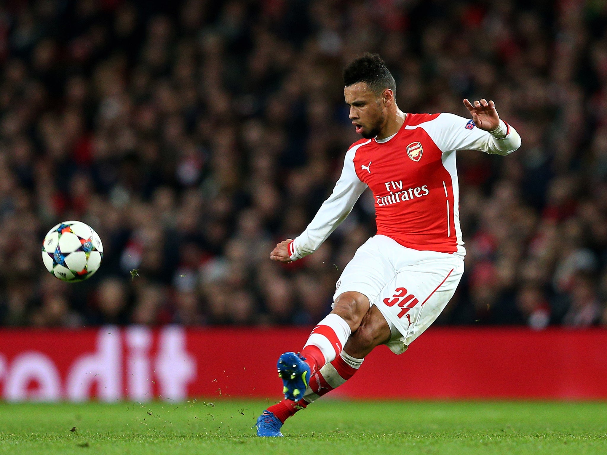 Coquelin has impressed for Arsenal since securing a first-team place