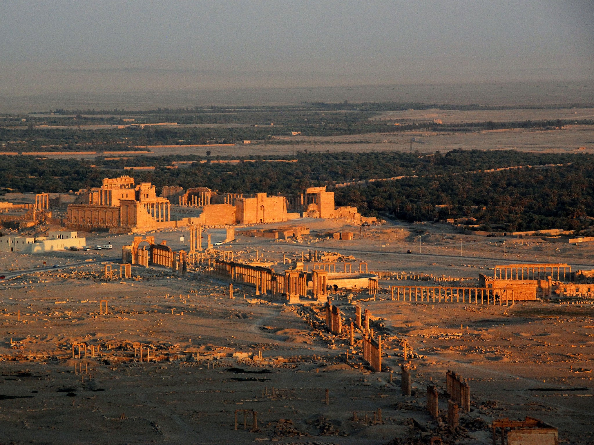 A view of the Great Colonnade in Palmyra