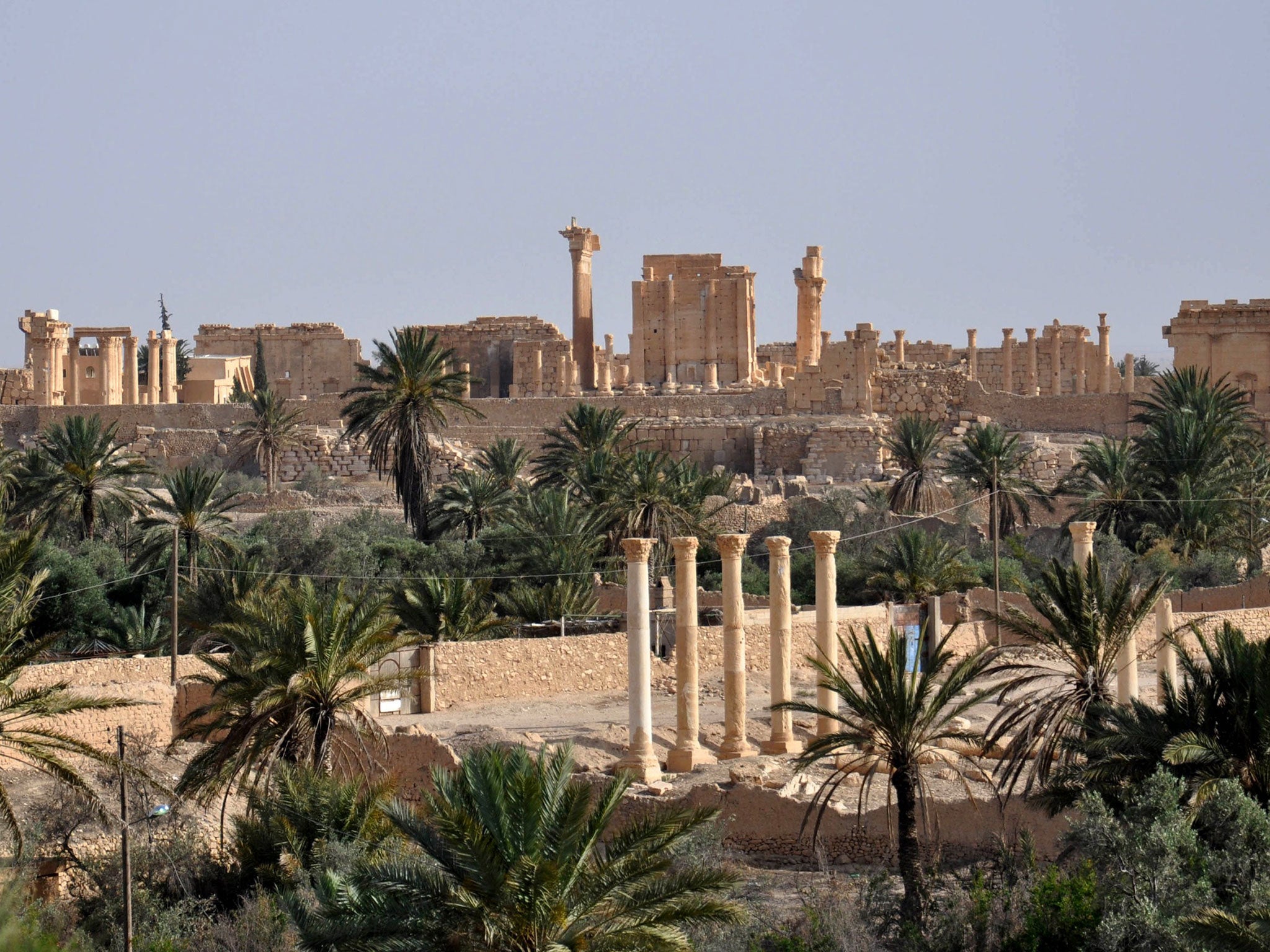 A view of the ancient Syrian city of Palmyra