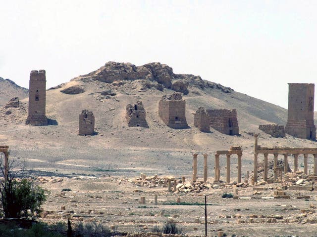 Palmyra's famous graves