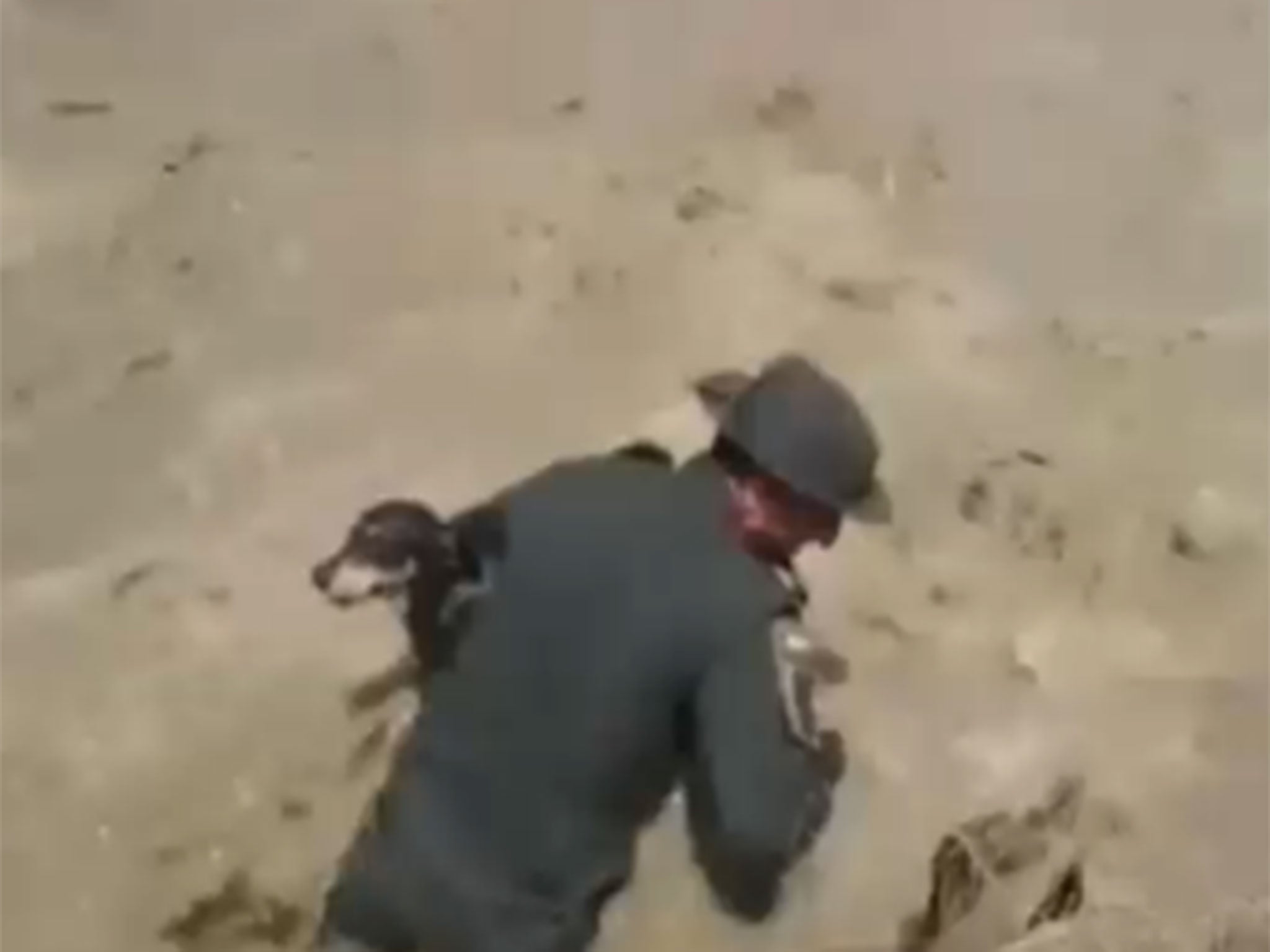 Dog being rescued from river in Colombia