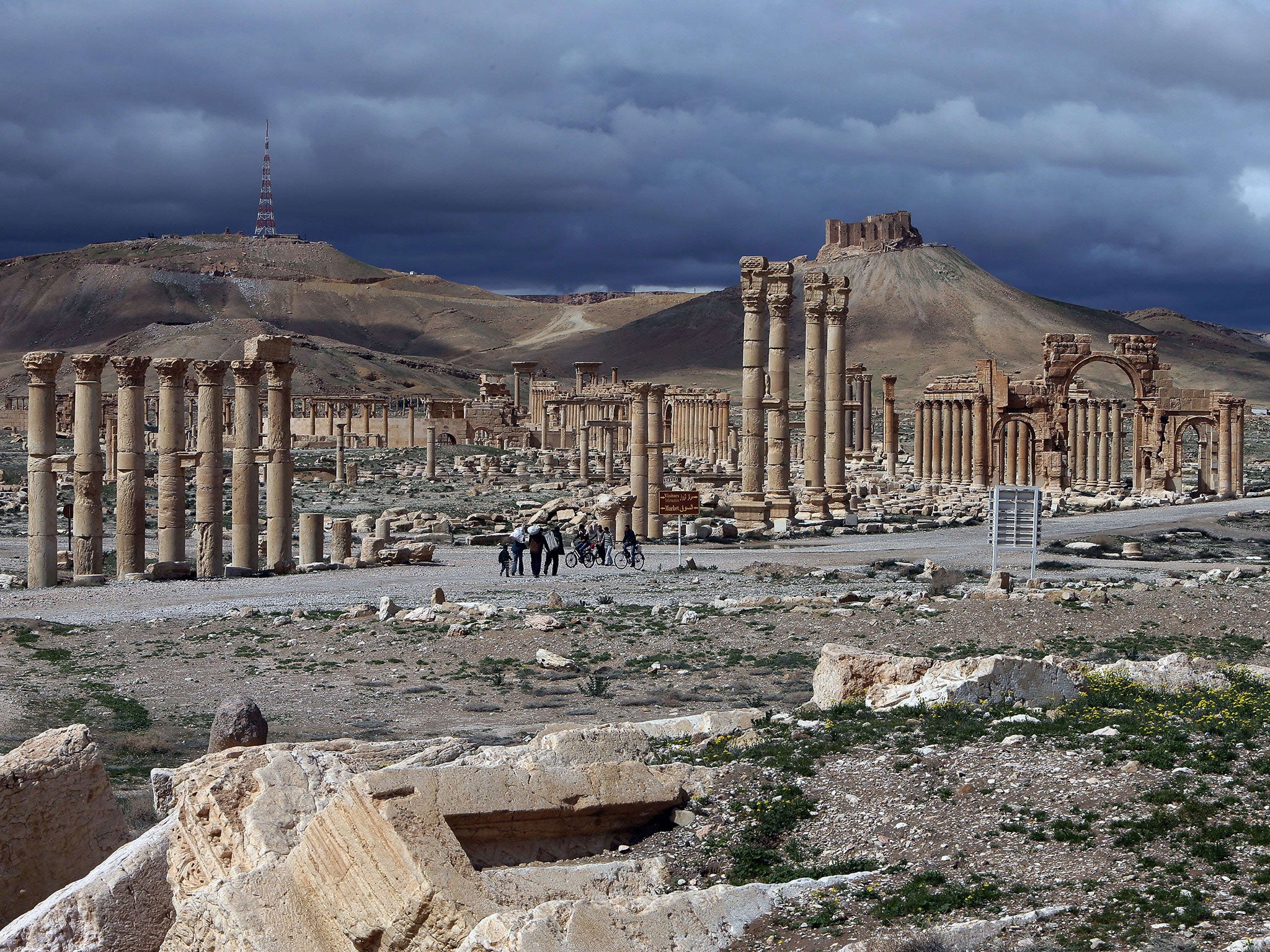 Isis seized the citadel and columns of Palmyra this week