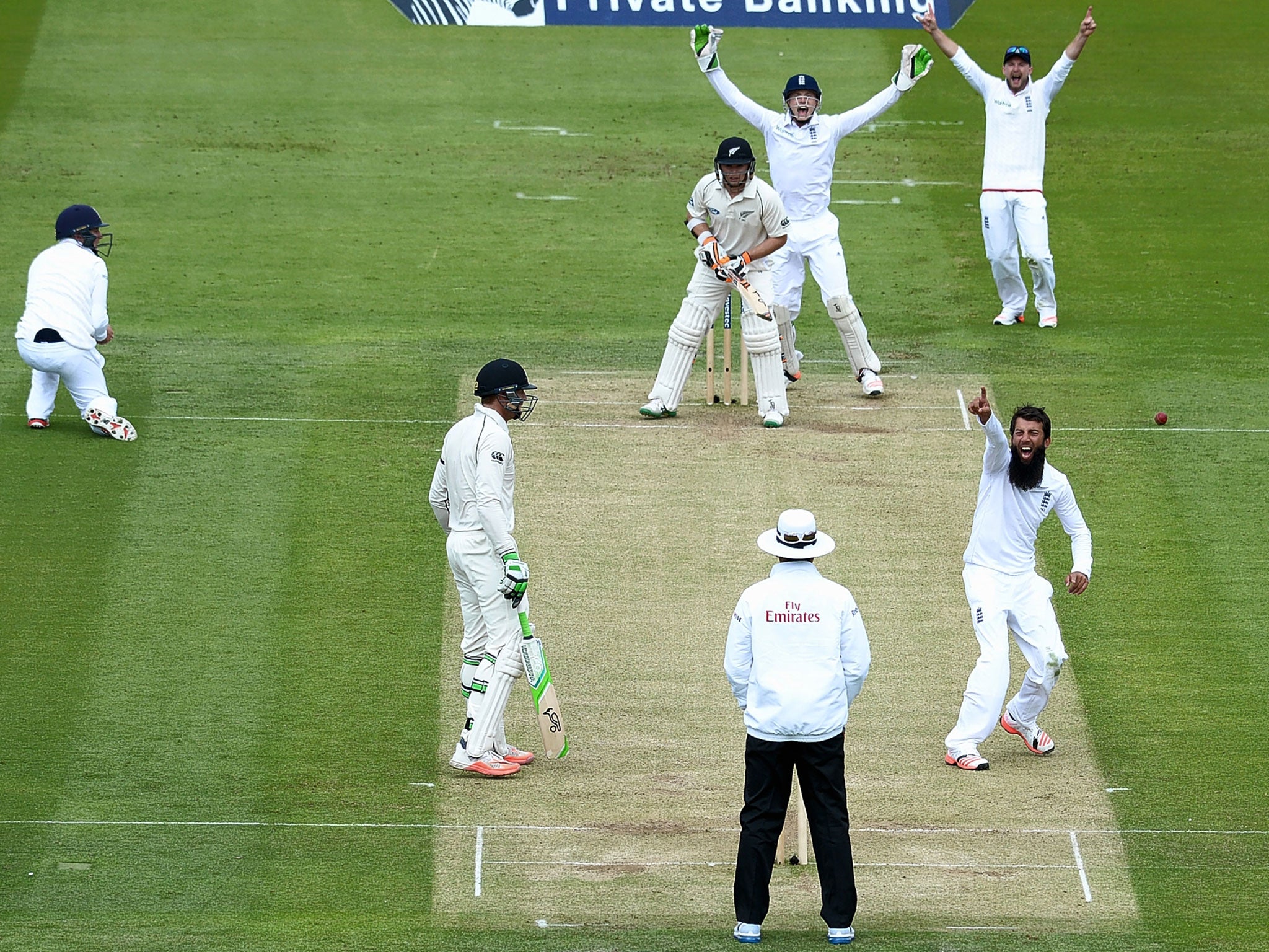 Moeen Ali successfully appeals for the wicket of New Zealand opener Tom Latham