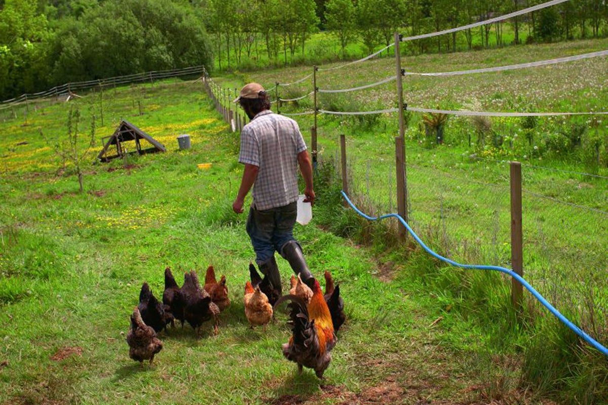Greenham Reach: The families trying to prove that compact, ecological ...