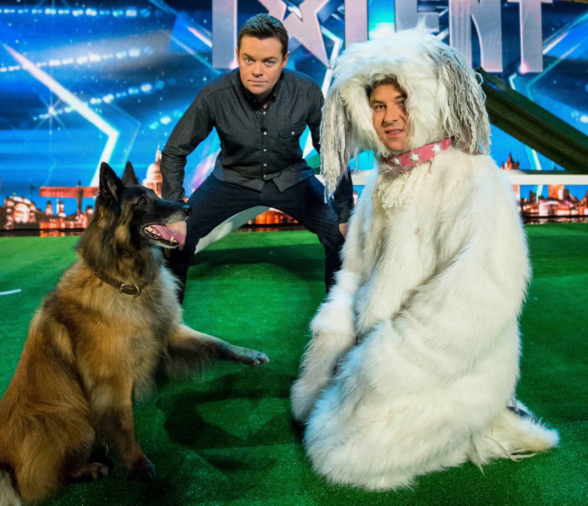 It's dog eat dog on Britain's Got Talent this week