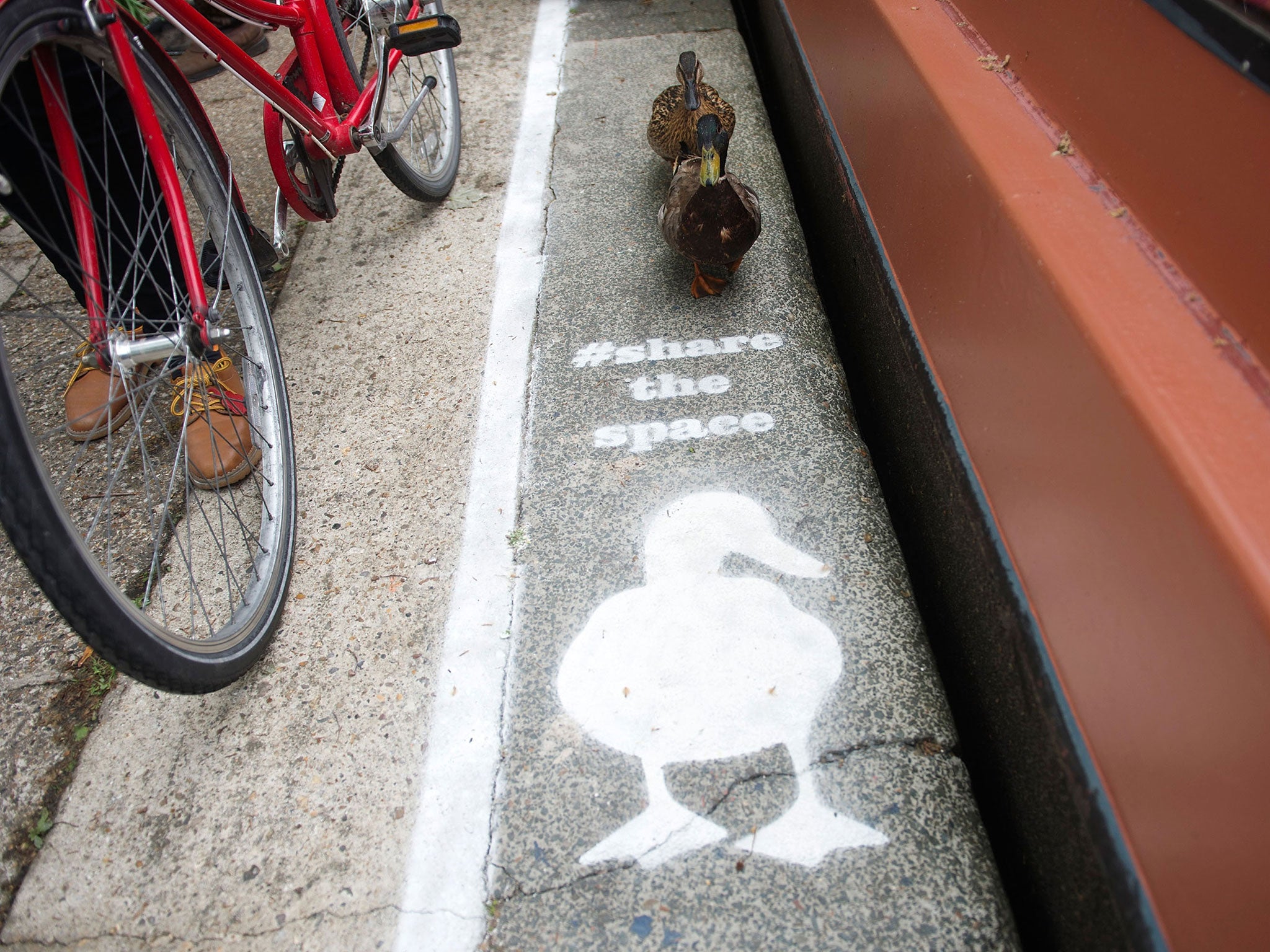 The paths are part of the Share the Space, Drop your Pace initiative (Photo: Getty Images)