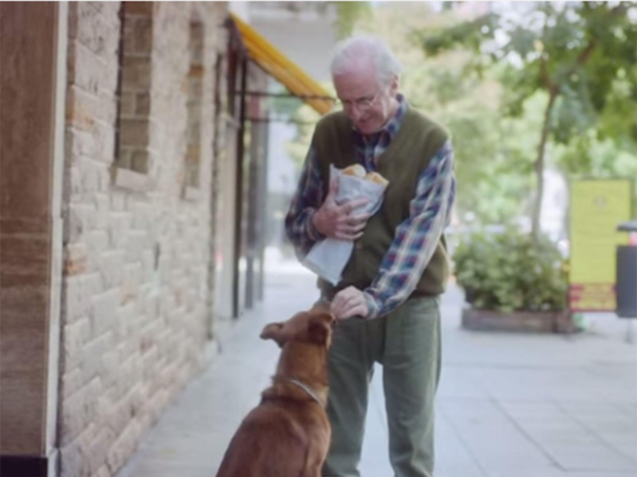 The dog and man in the organ donation advert