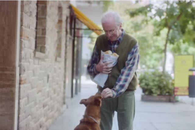 The dog and man in the organ donation advert