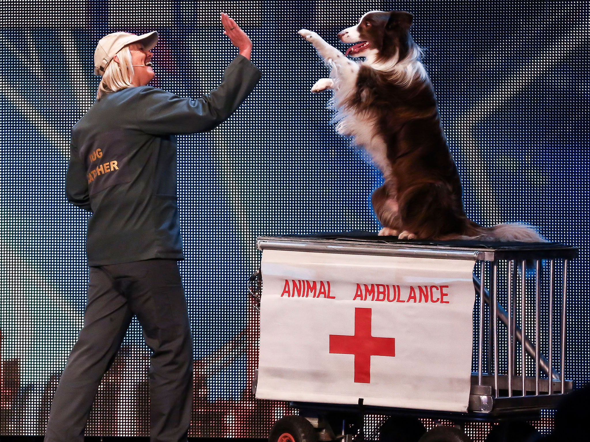 Jules O'Dwyer and her dog Matisse won cheers from the Britain's Got Talent audience
