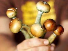 A truth about relationships, according to man who took magic mushrooms