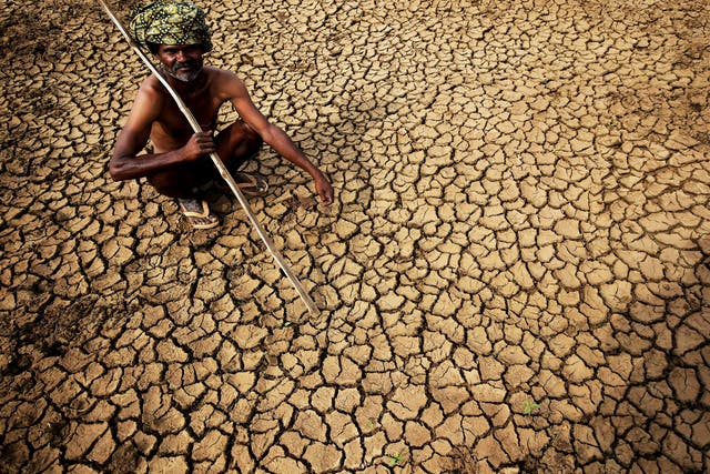 An Indian farmer sits in his dried up land in gauribidanur village, doddaballapur district, which is very close to Karnataka and Andhra Pradesh border. More than 500 people have died in a heat wave that has swept across India and is showing little signs o