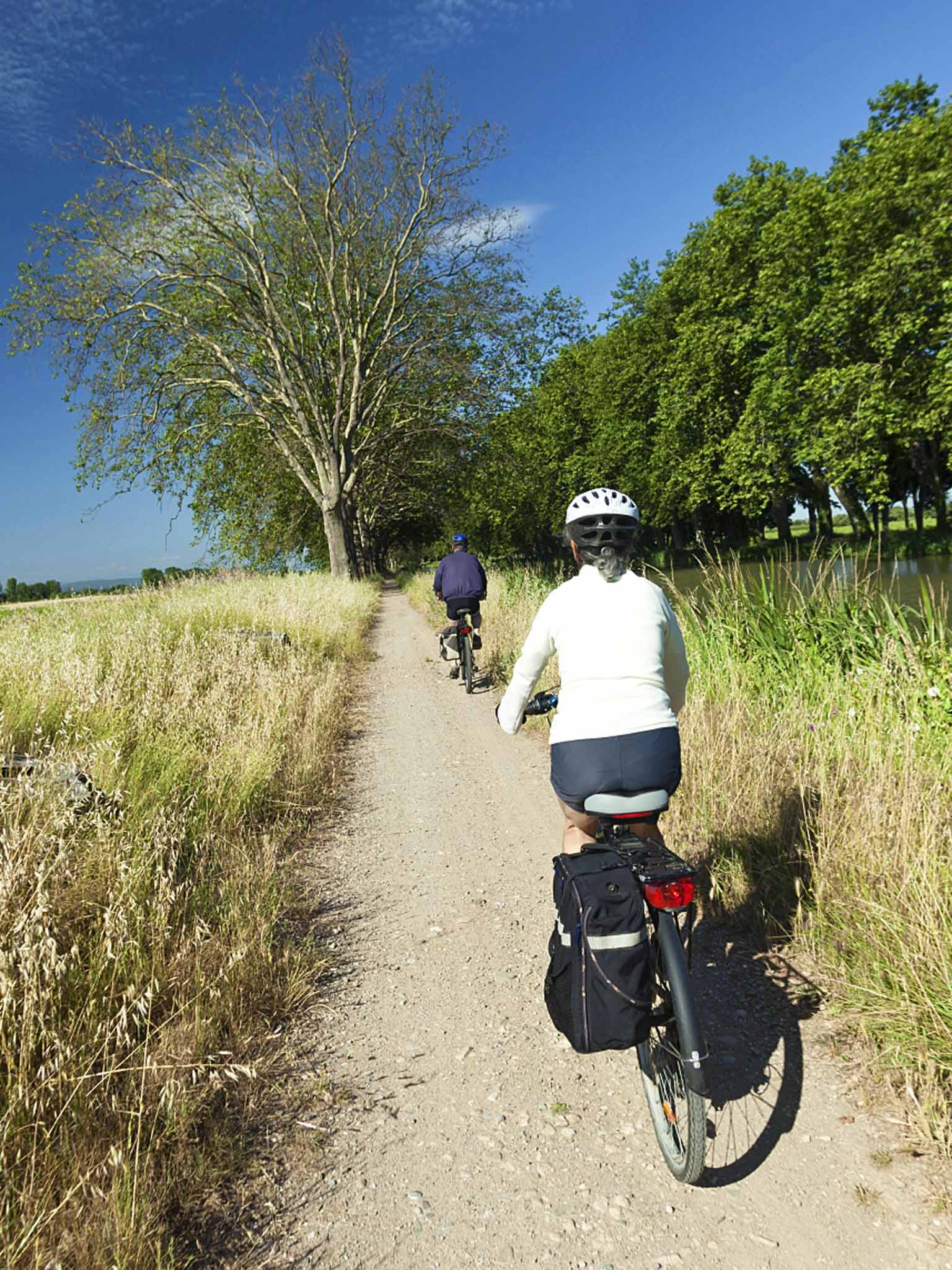 Right track: cycle through beguiling countryside