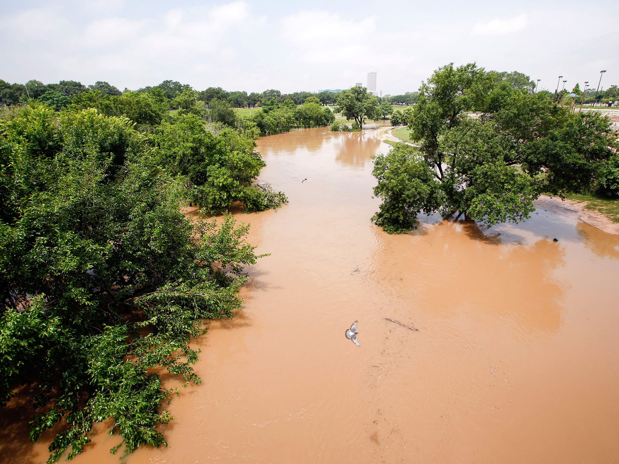 Trees are submerged at Buffalo Bayou park, Houston, after floods swept through Texas
