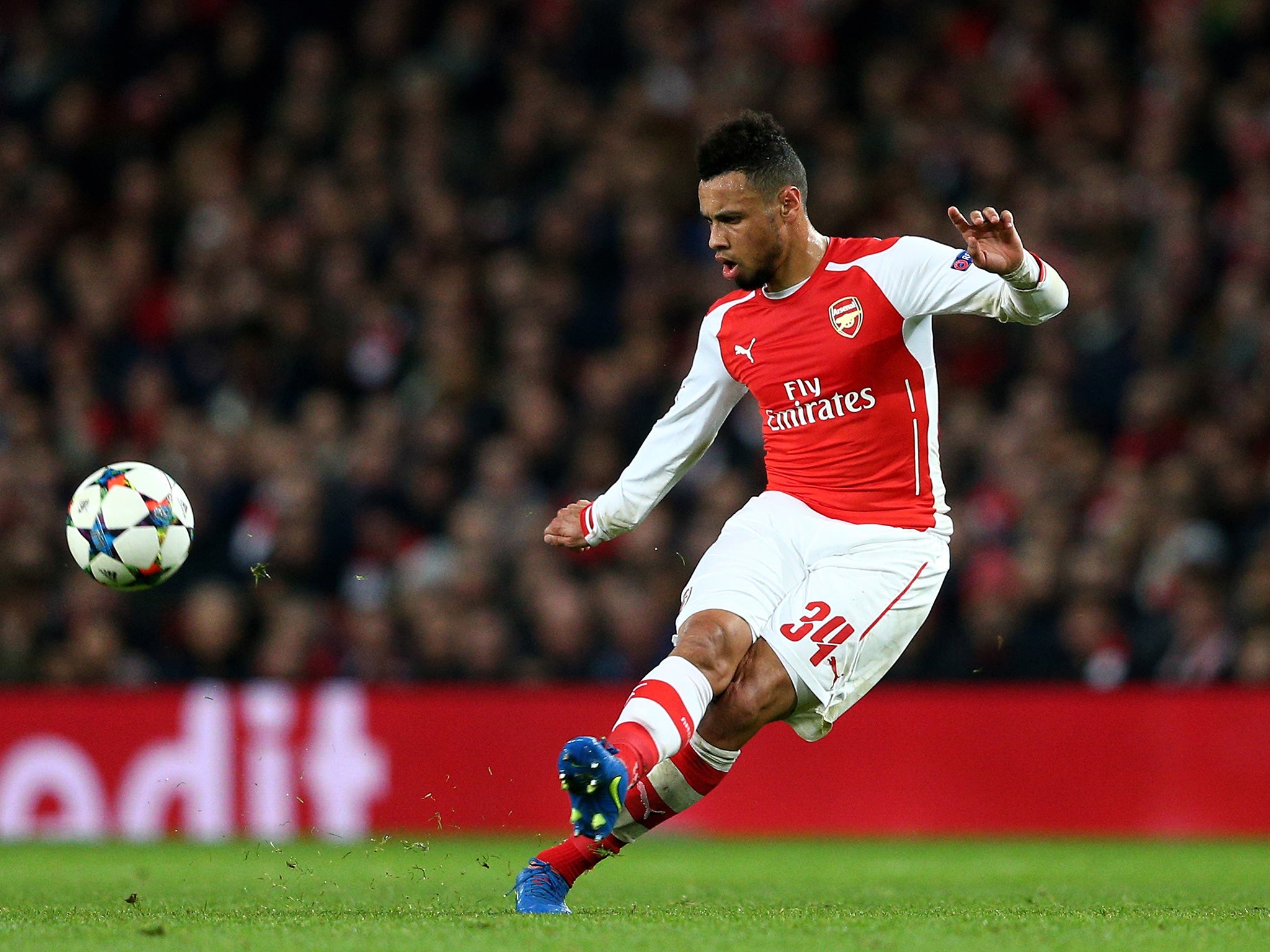 Coquelin emerged as an Arsenal first-team player last season