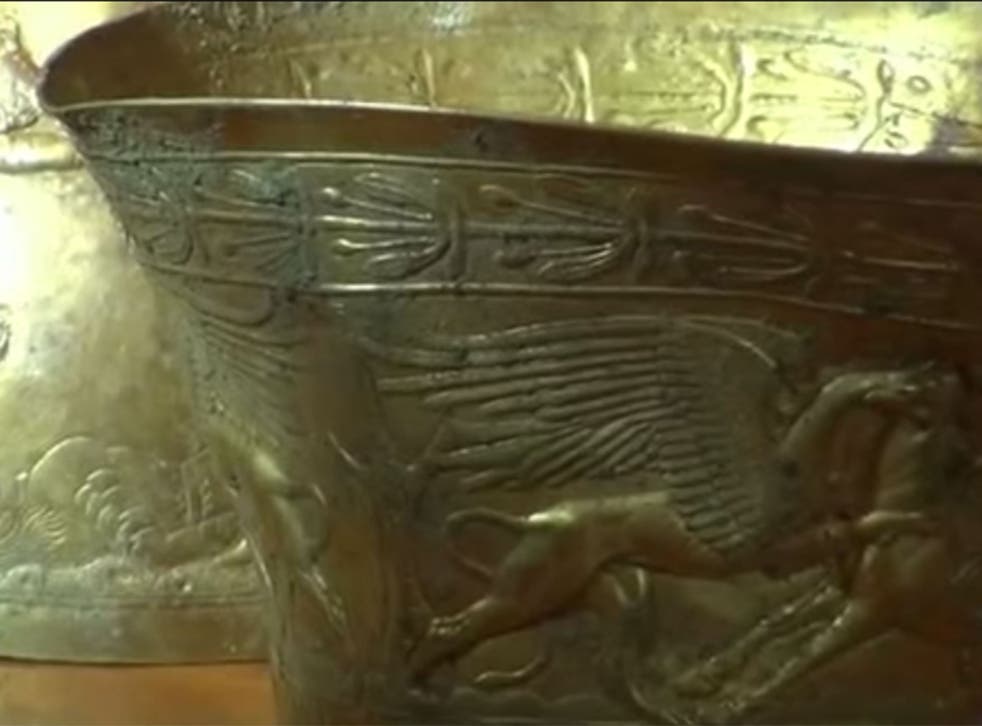 An animal on one of the objects (Photo: YouTube/1TV.Ru)