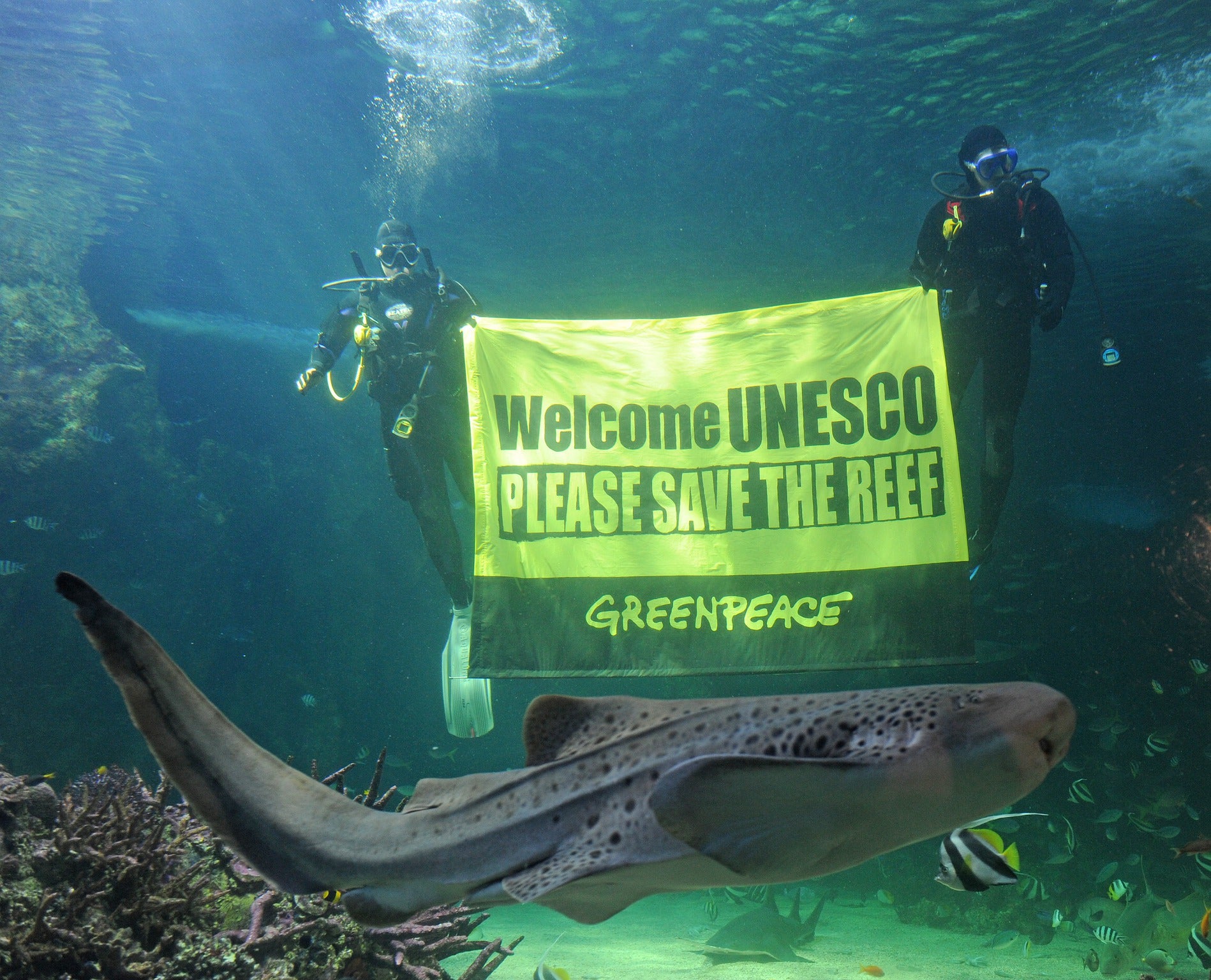 Greenpeace have repeatedly called for more efforts from the government and UNESCO to protect the reef