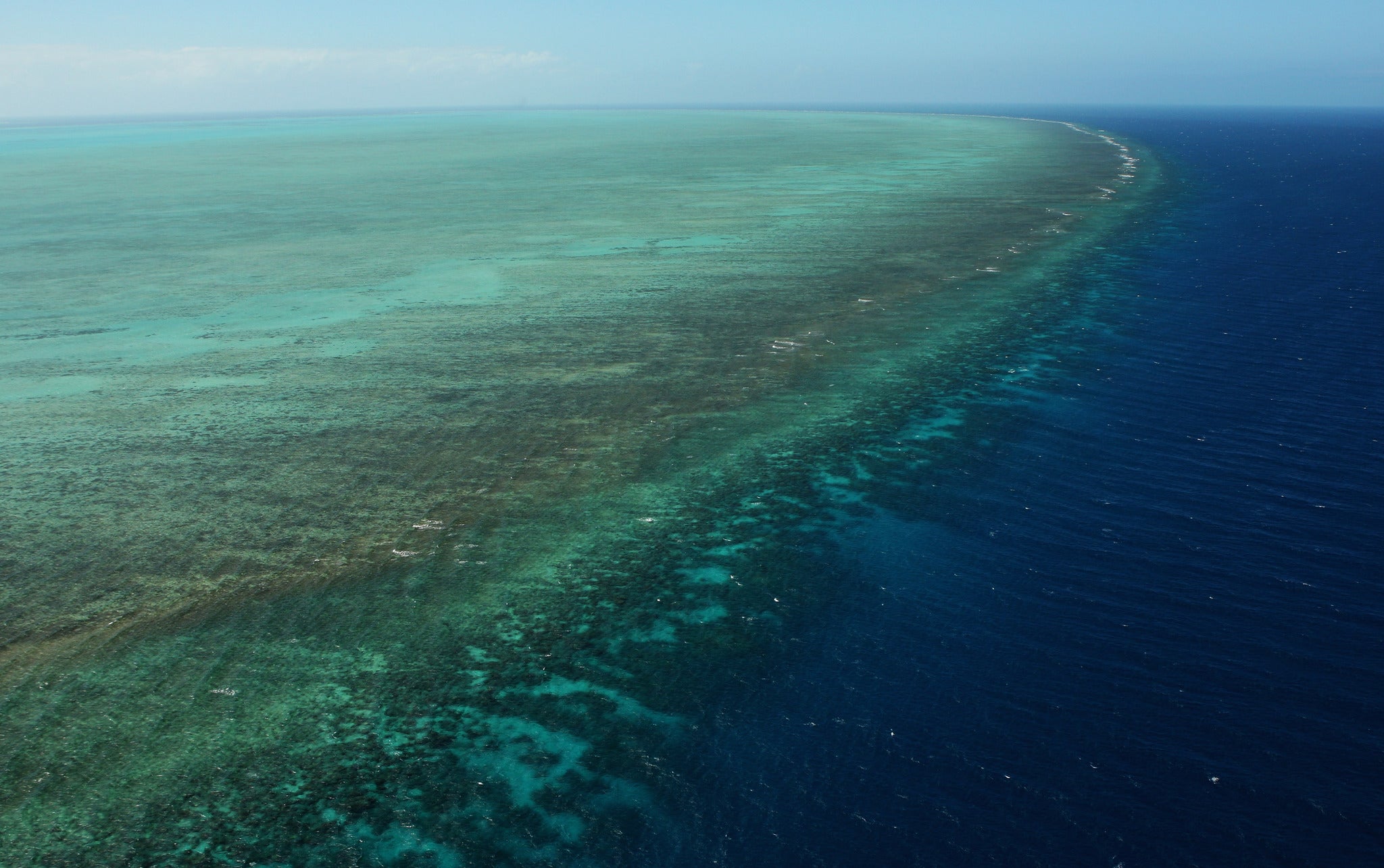 Some scientists have warned that warming sees could mean the reef will be gone in 20 years