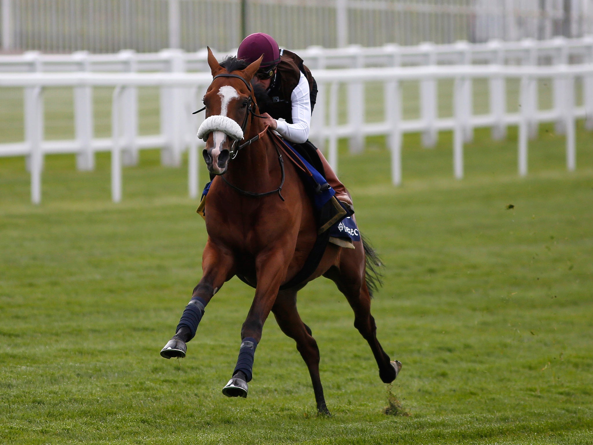 Andrea Atzeni riding Elm Park at Epsom racecourse (Getty)