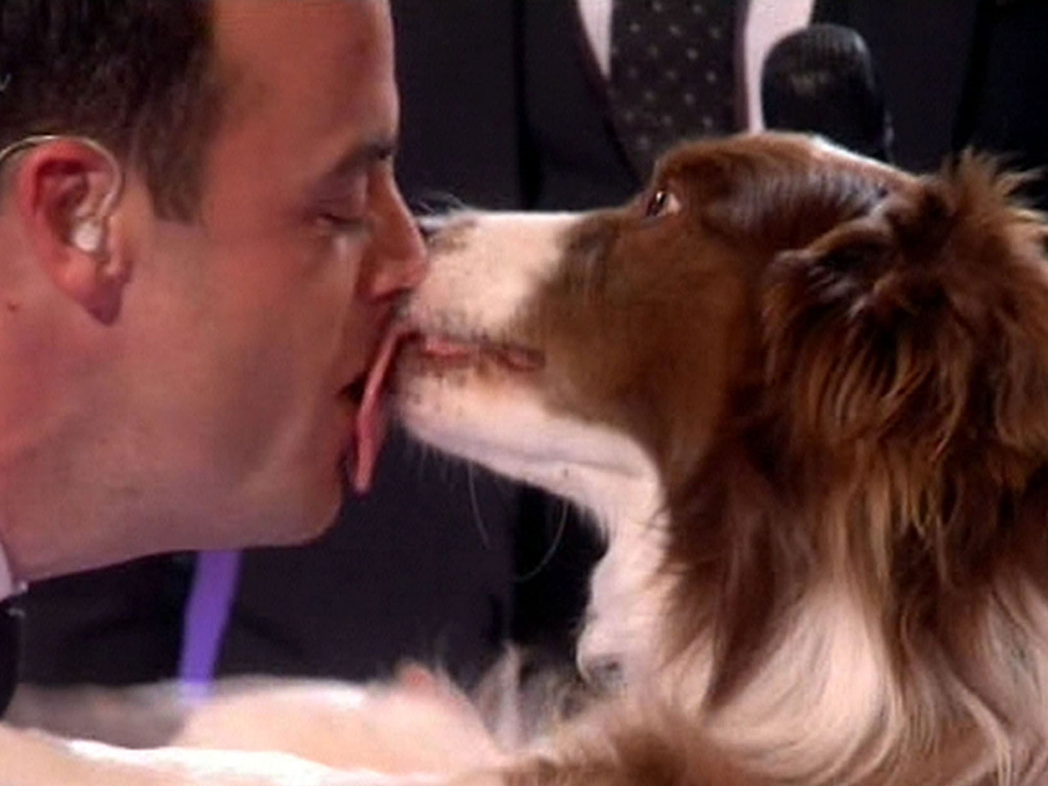 Matisse licking presenter Anthony McPartlin's face after the dog and Jules O'Dwyer won the live final of Britain's Got Talent