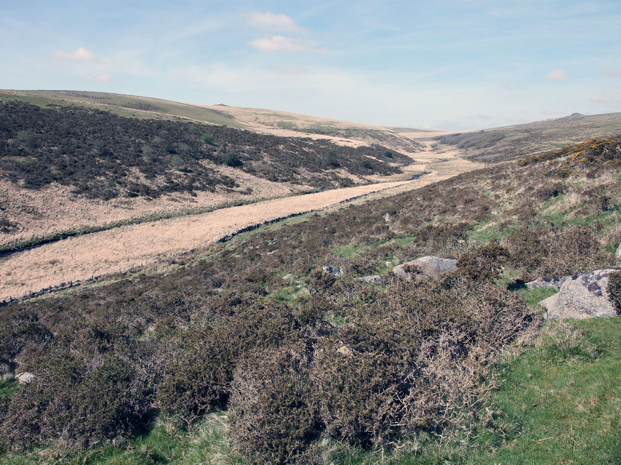 Valley of West Dart, near Wistman's Wood, in Dartmoor National Park, Devon