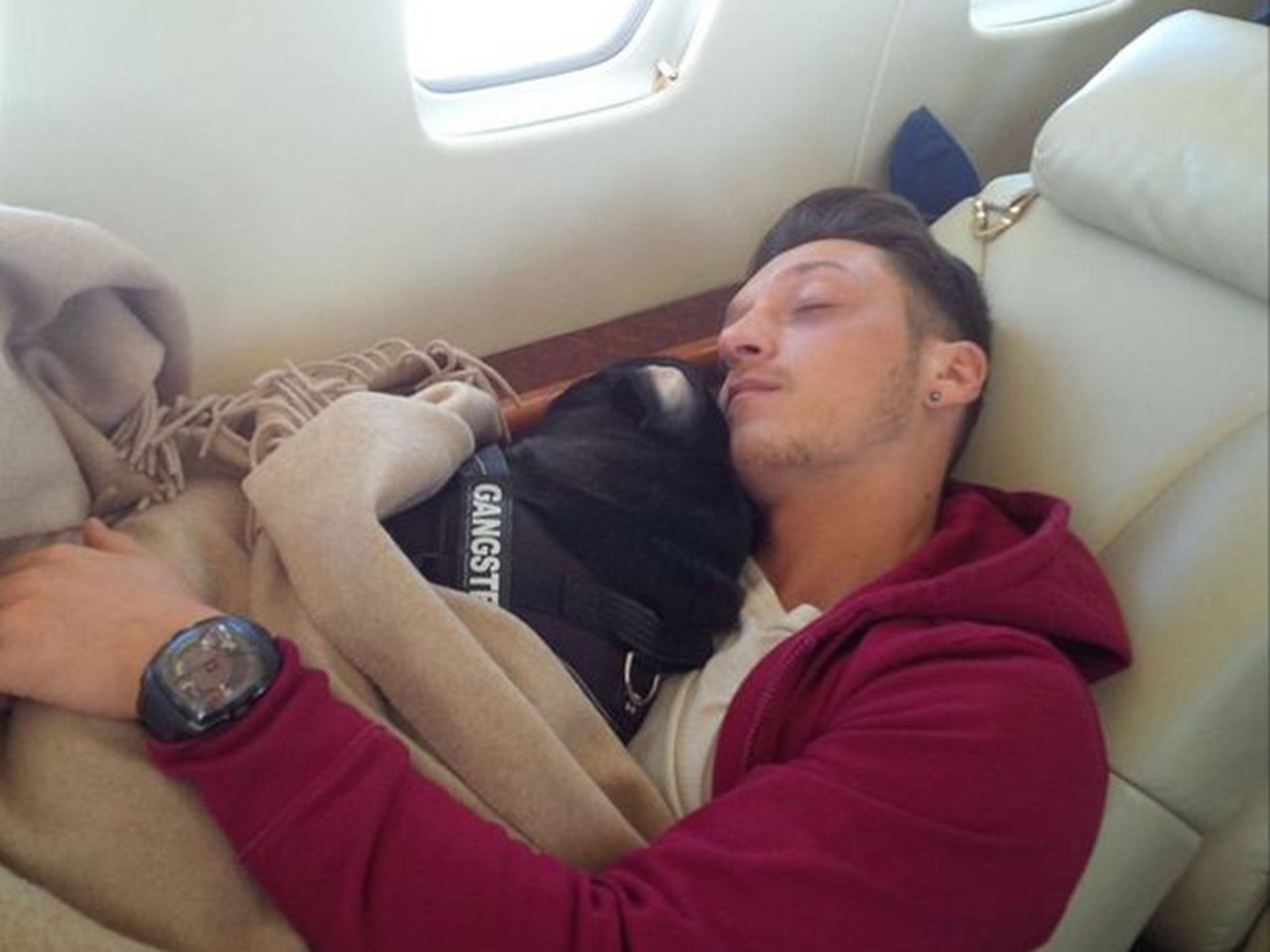 Mesut Özil asleep with his dog Balboa on a plane