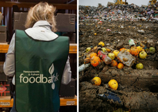 I'm calling on the government to ban food waste because nobody should starve in the UK
