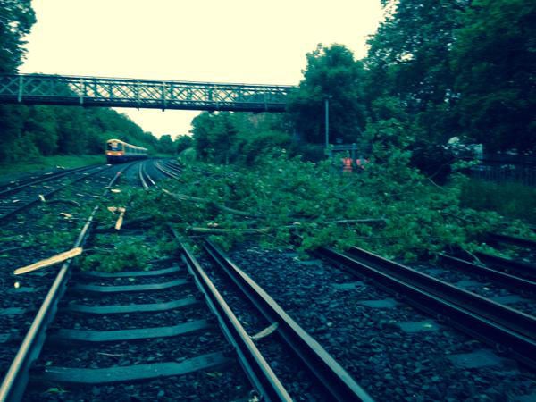 An image of the tree on the tracks at Forest Hill tweeted by Southern Rail 