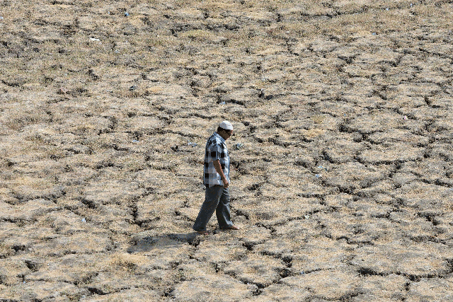 <p>An Indian man walks across the dried-out bed of Lake Ahmad Sar as extreme heat conditions prevail</p>