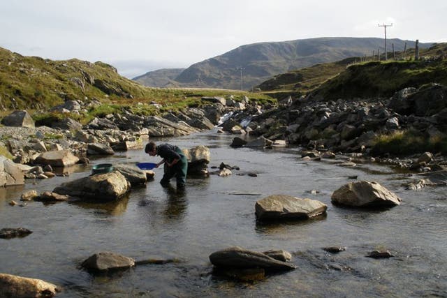 A researcher pans for gold in Ireland