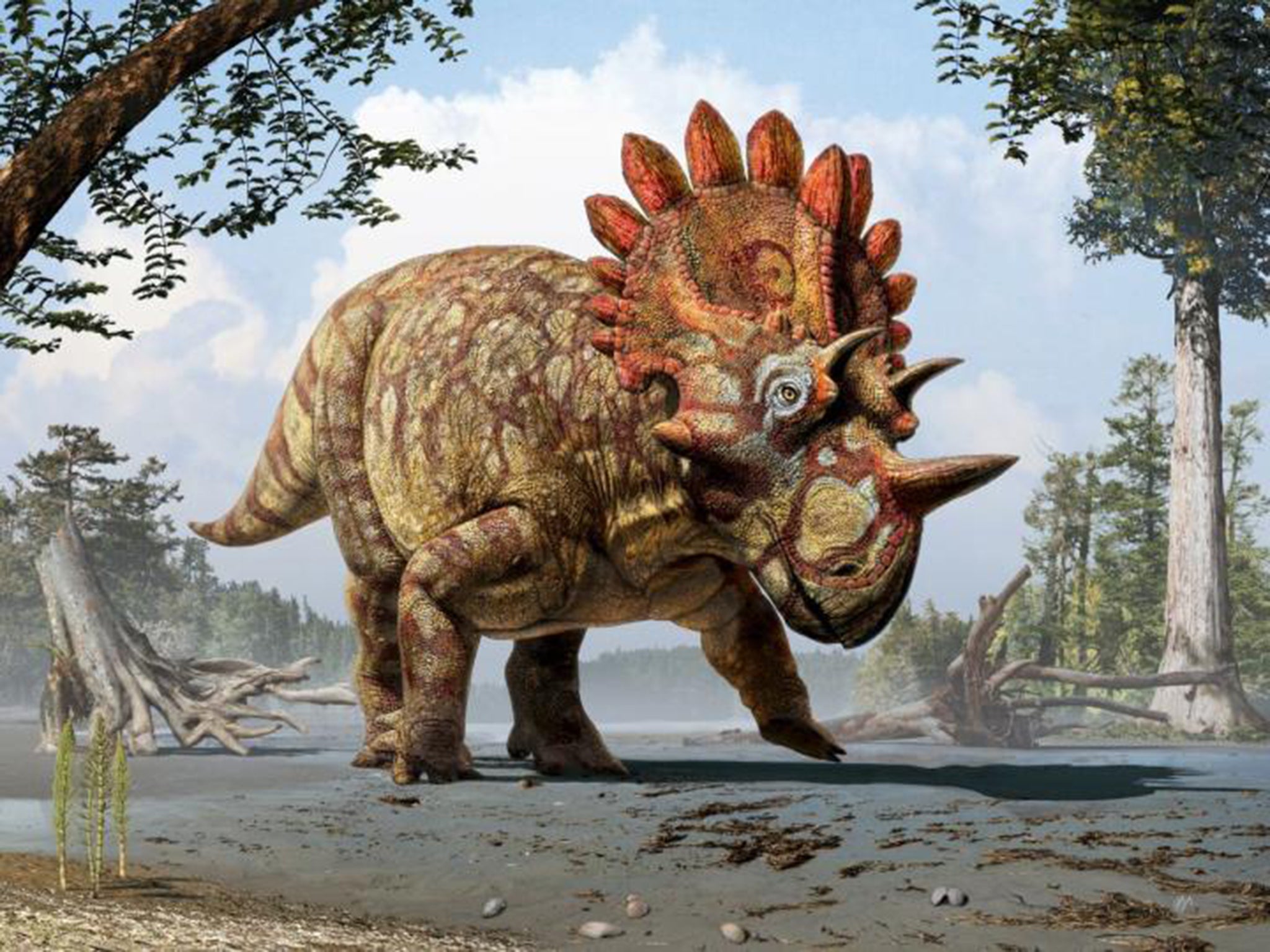 The newly discovered dinosaur has been called Hellboy