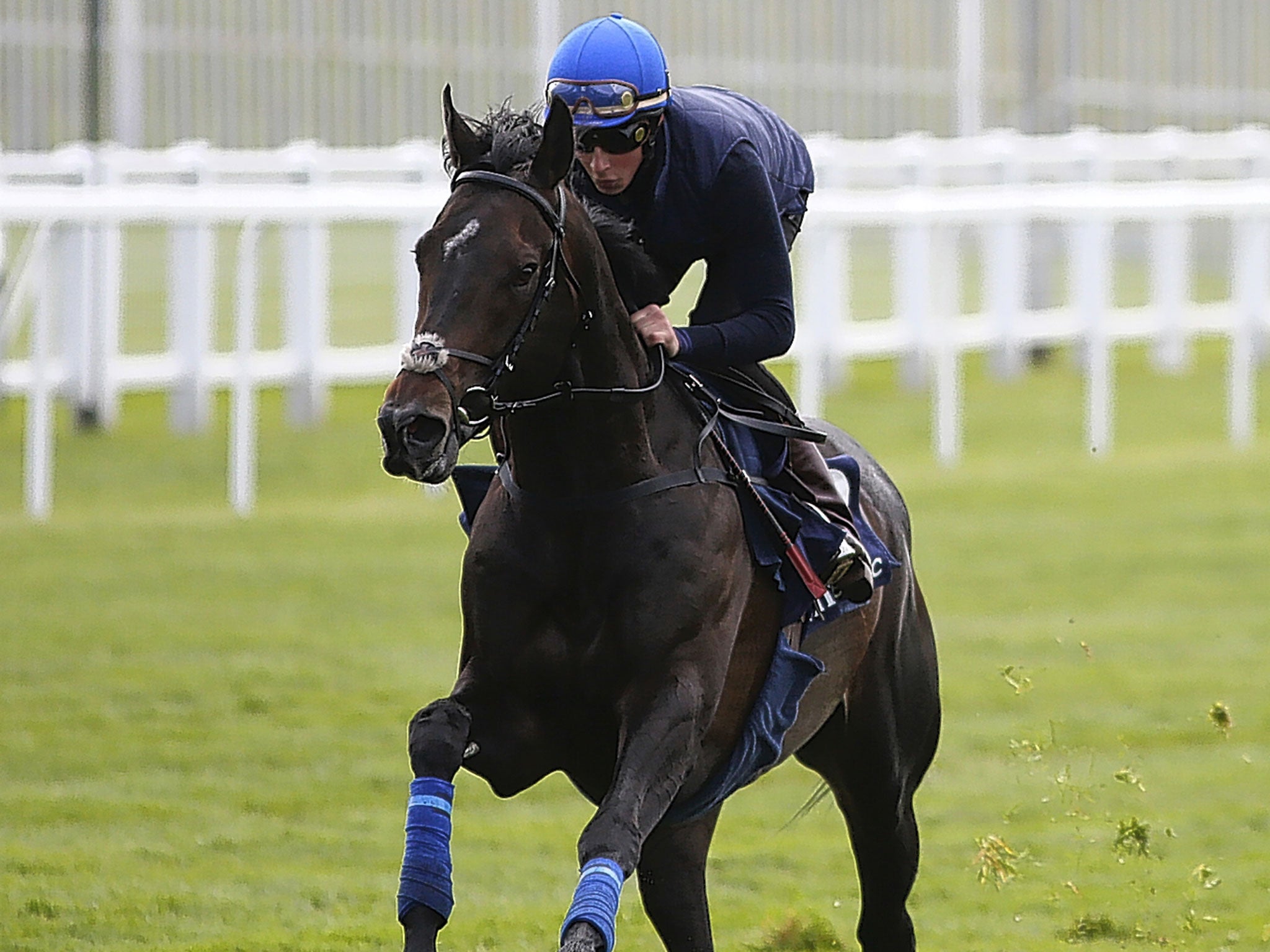 William Buick rides Jack Hobbs during a racecourse gallop last week at Epsom, where he will partner him in the Derby