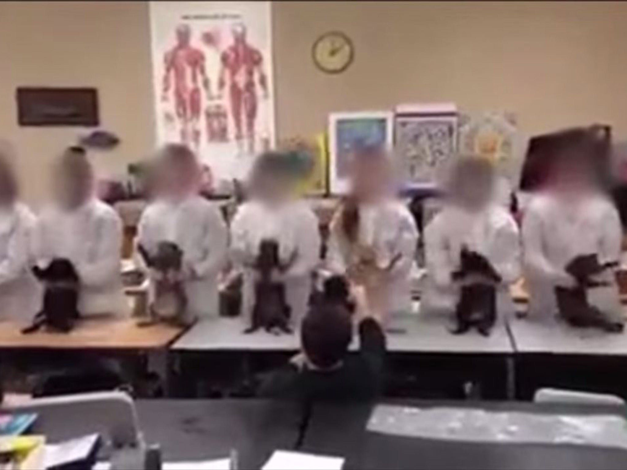 Students can be seen making the dead cats 'dance' during a biology lesson involving dissection